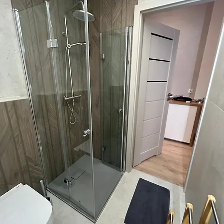 Apartament Studio * ザコパネ